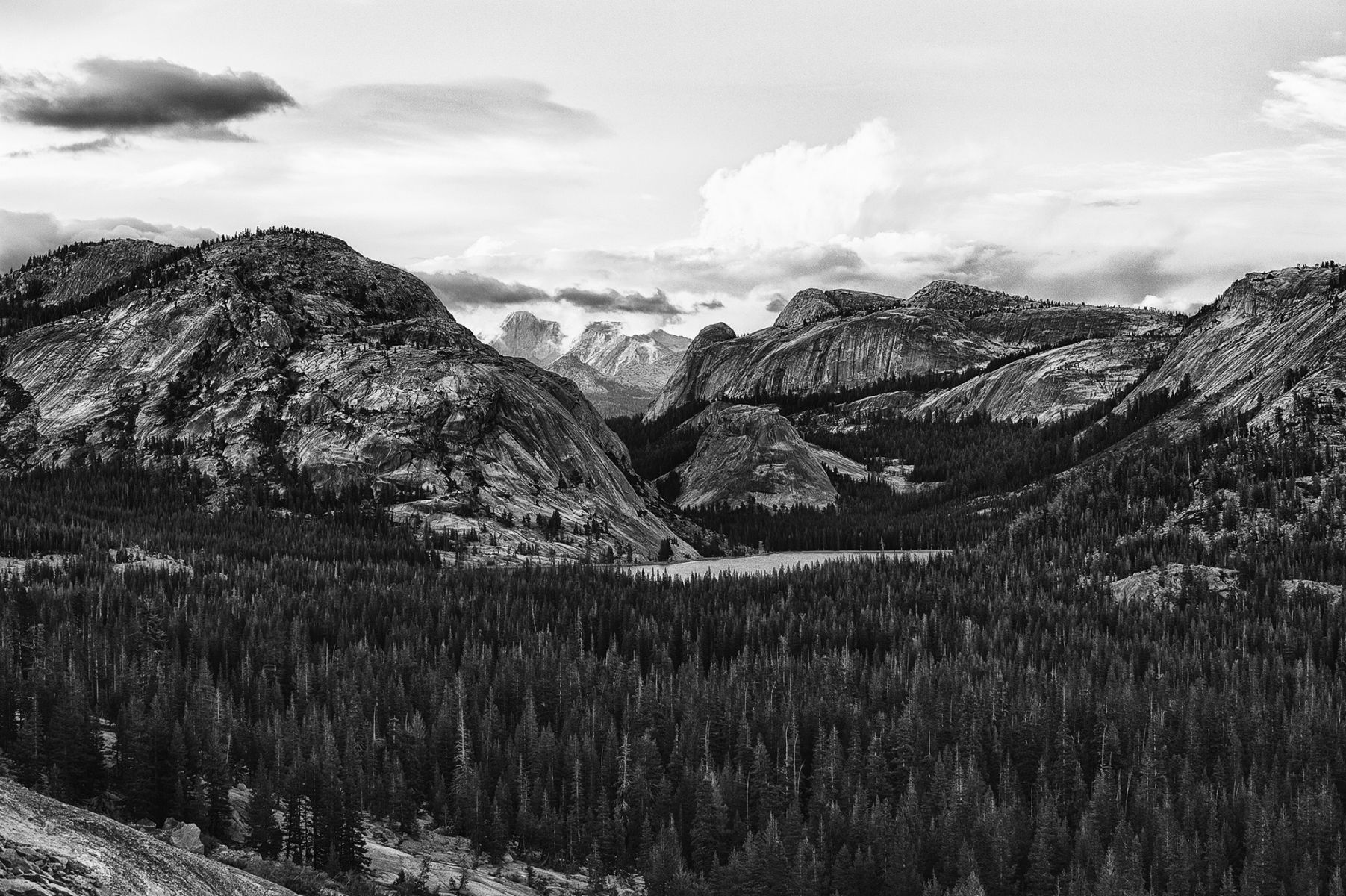 Tenaya Lake