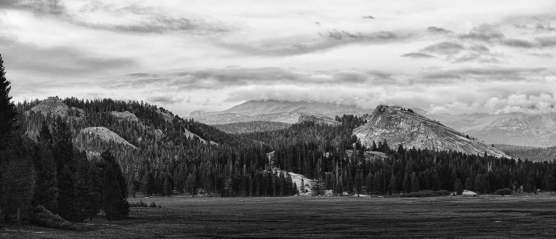 Tuolumne Meadows