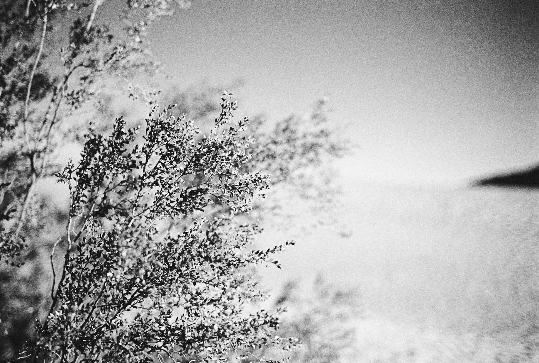 Mesquite Sand Dunes