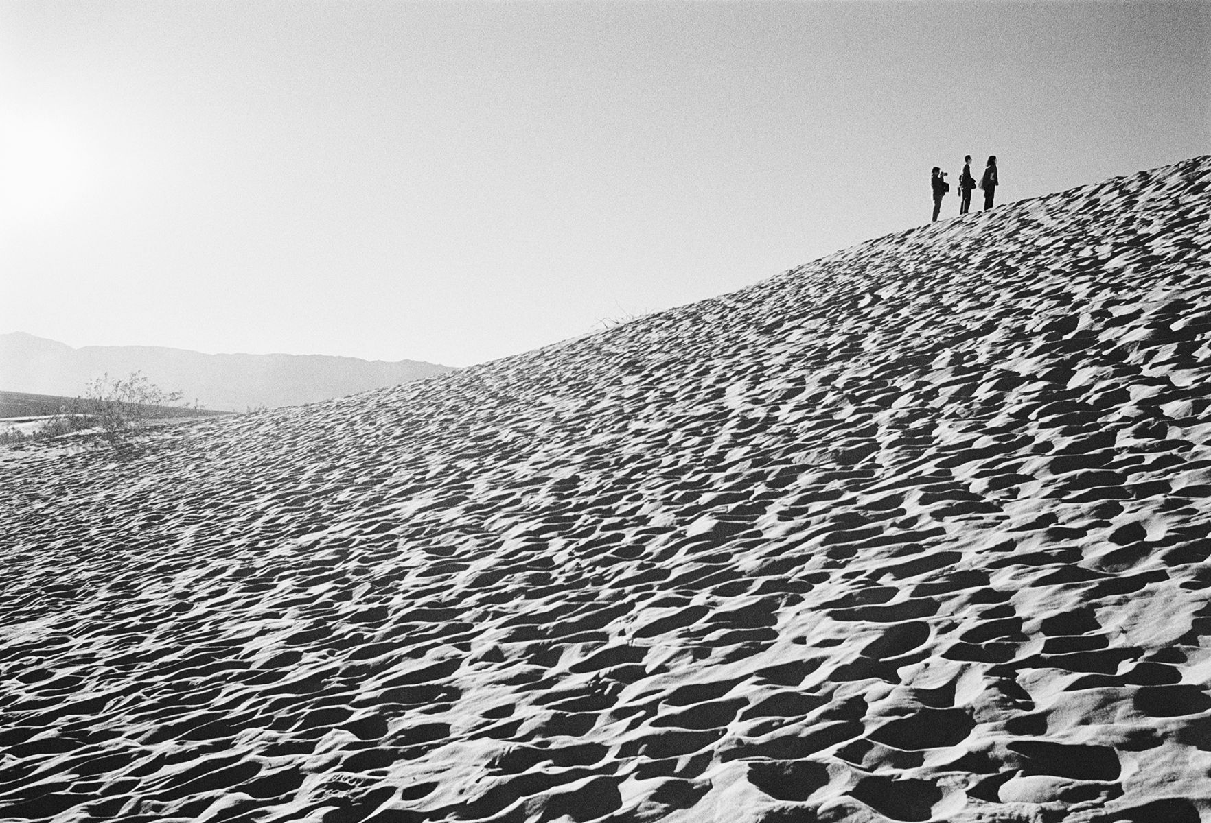 Mesquite Sand Dunes