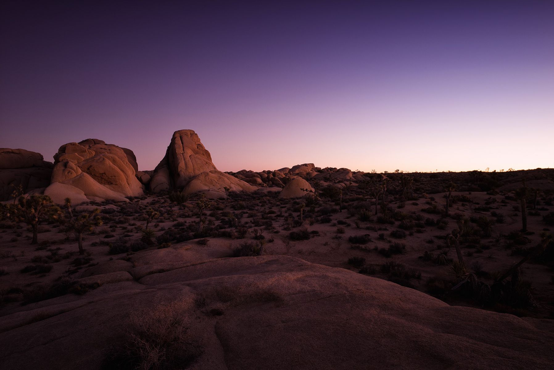 Joshua Tree Nationalpark