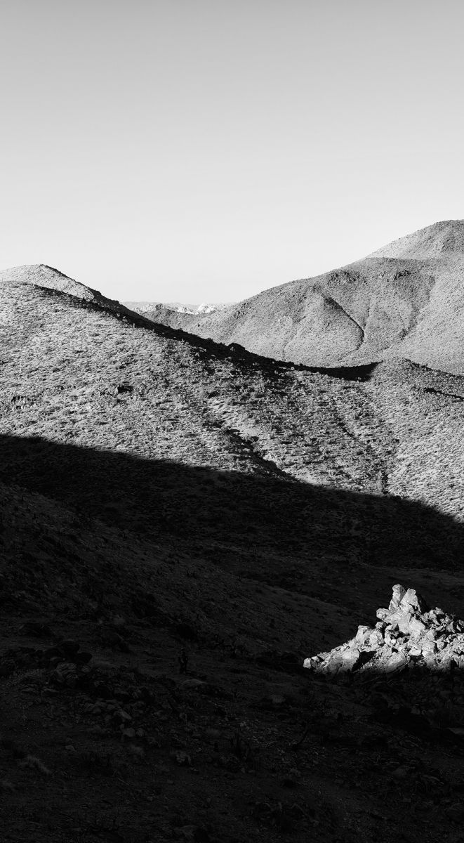 Joshua Tree Nationalpark