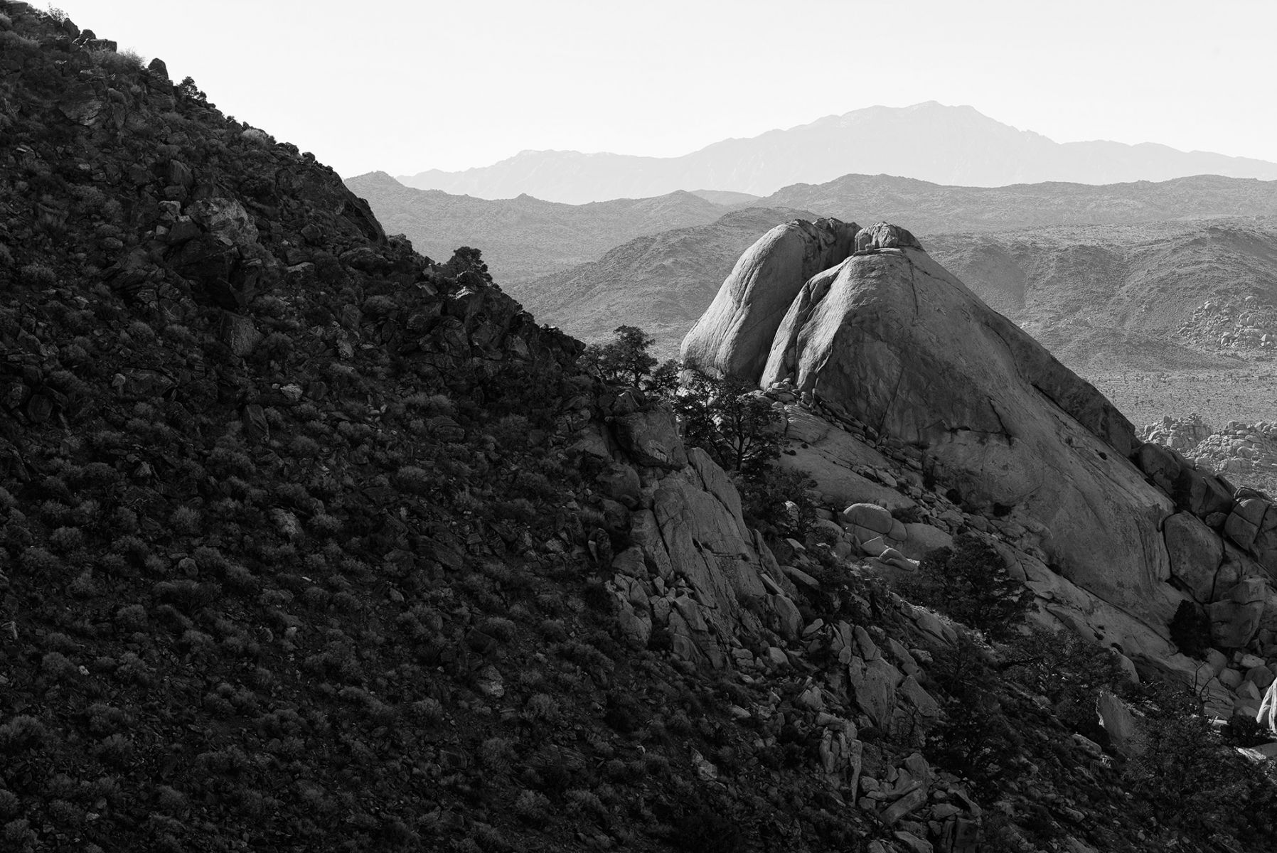 Joshua Tree Nationalpark