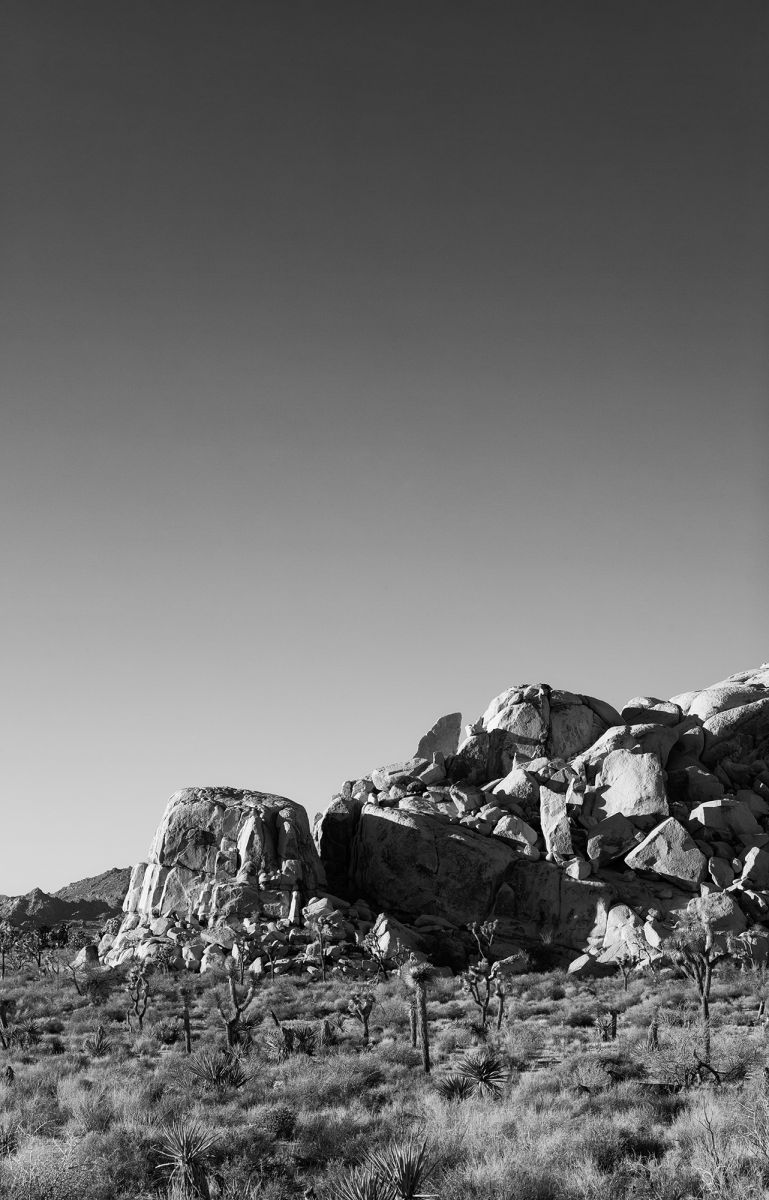 Joshua Tree Nationalpark