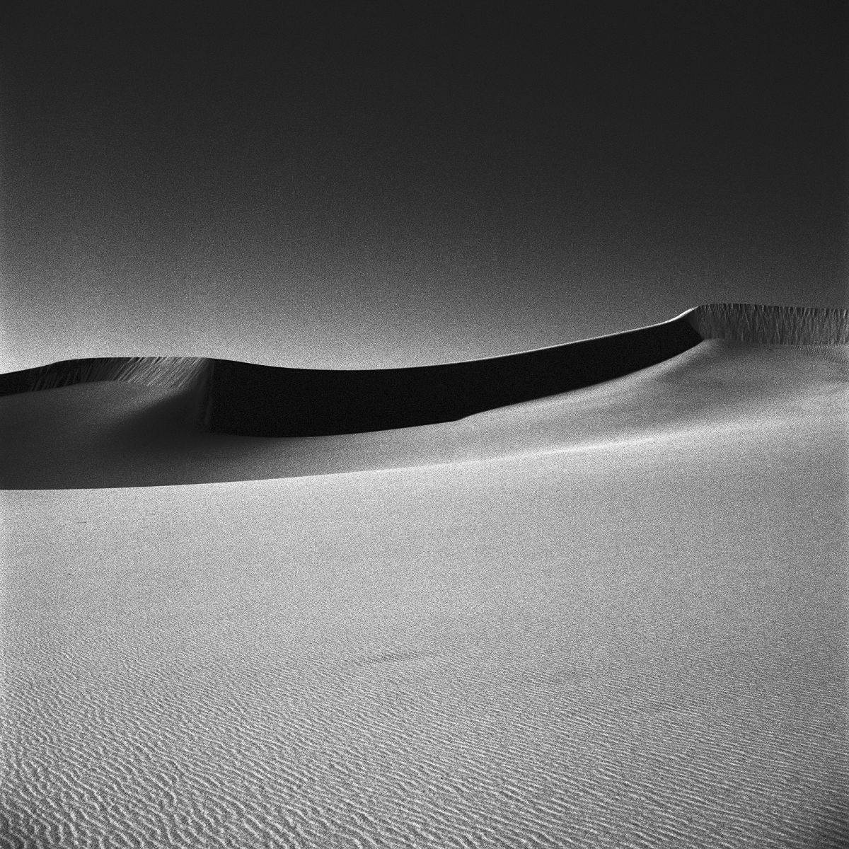 Mesquite Sand Dunes