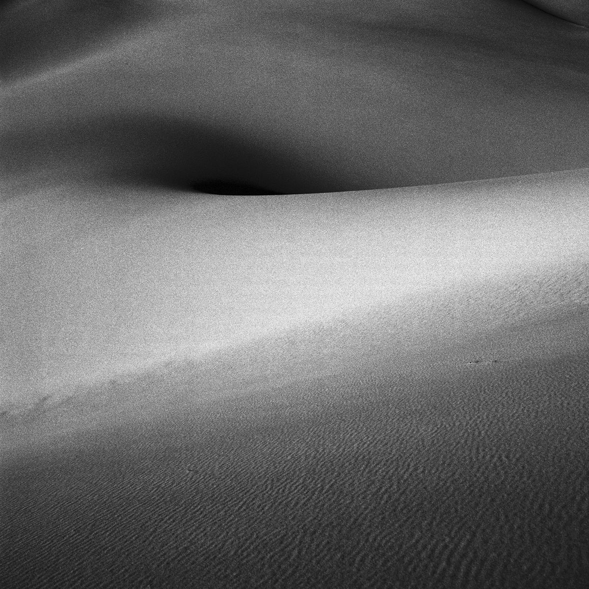 Mesquite Sand Dunes